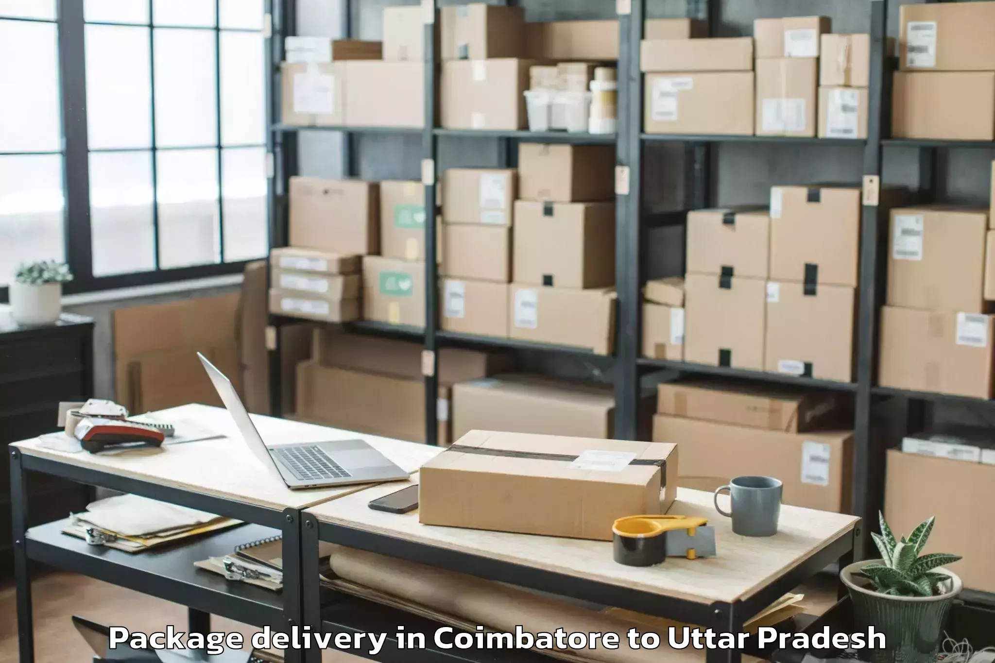 Hassle-Free Coimbatore to Bareli Package Delivery